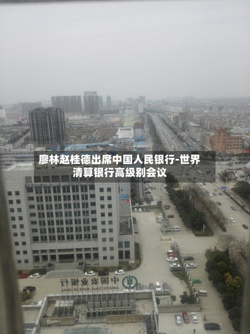廖林赵桂德出席中国人民银行-世界清算银行高级别会议