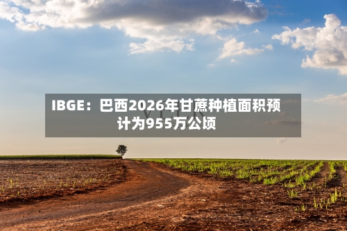 IBGE:巴西2026年甘蔗种植面积预计为955万公顷