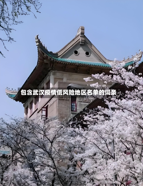 包含武汉疫情低风险地区名单的词条