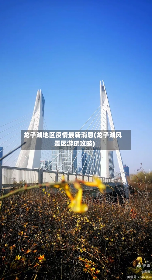 龙子湖地区疫情最新消息(龙子湖风景区游玩攻略)