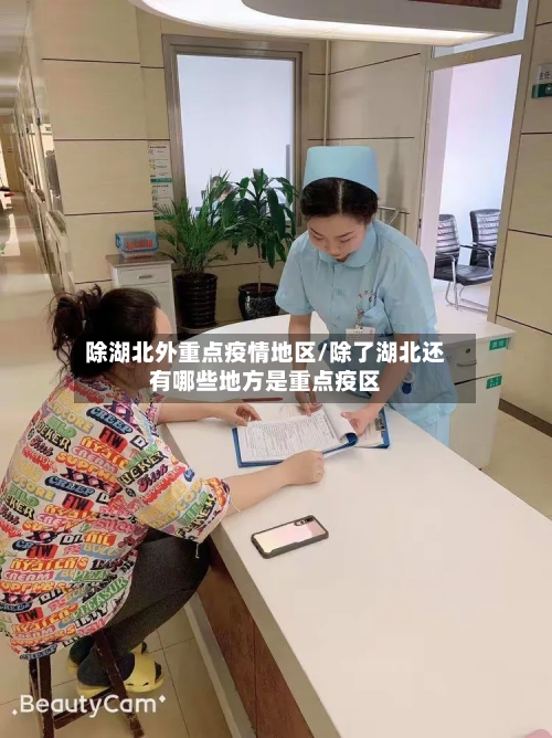 除湖北外重点疫情地区/除了湖北还有哪些地方是重点疫区