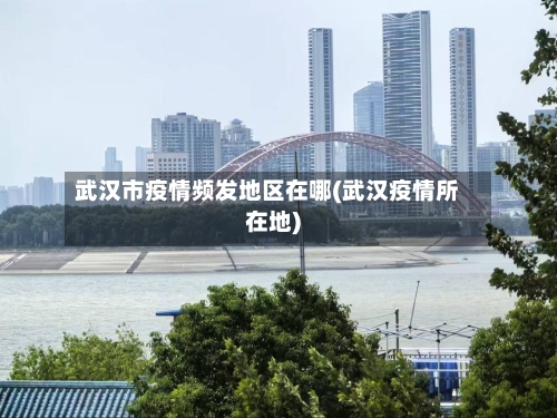 武汉市疫情频发地区在哪(武汉疫情所在地)