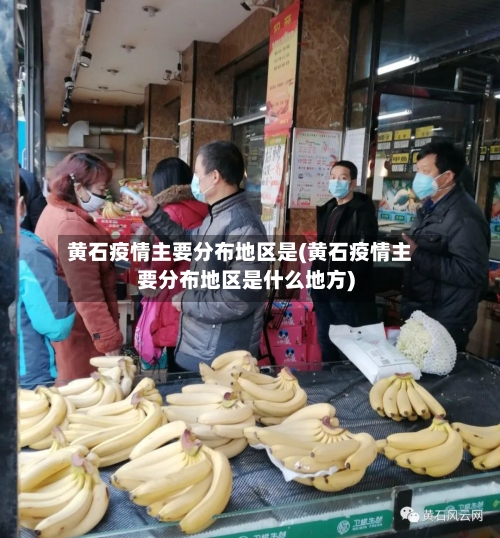 黄石疫情主要分布地区是(黄石疫情主要分布地区是什么地方)