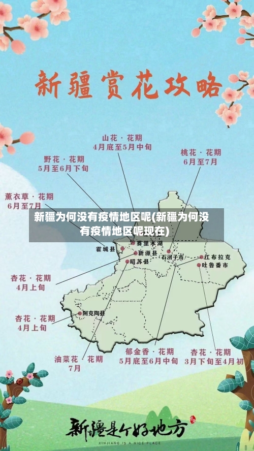 新疆为何没有疫情地区呢(新疆为何没有疫情地区呢现在)