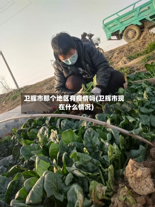 卫辉市那个地区有疫情吗(卫辉市现在什么情况)