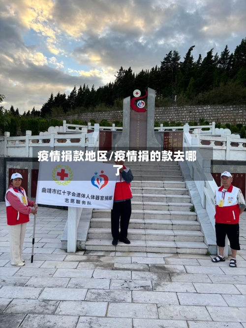 疫情捐款地区/疫情捐的款去哪了