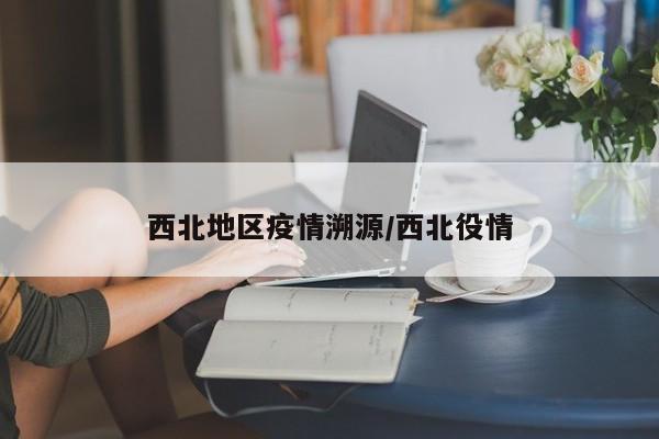 西北地区疫情溯源/西北役情